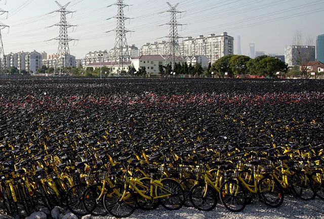 Những nghĩa trang xe đạp khổng lồ ở Trung Quốc - Ảnh 19.