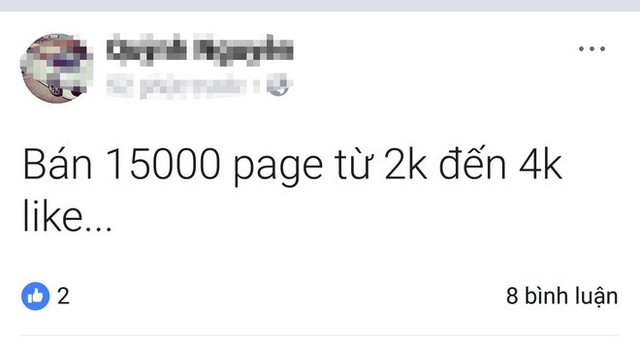 Facebook cho phép sử dụng tính năng Load Page tại Việt Nam, cộng đồng mạng phẫn nộ vì bị “ép” like page một cách vô tội vạ - Ảnh 3.