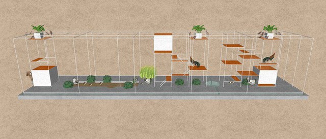 Chuồng gà ở Long An được lên tạp chí kiến trúc Mỹ - Ảnh 4. Chuồng gà ở Long An được lên tạp chí kiến trúc Mỹ - Ảnh 4.