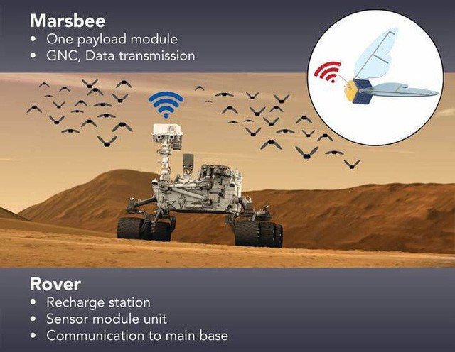 NASA bí mật phát triển robot giống loài ong để khám phá Sao Hỏa - Ảnh 1. NASA bí mật phát triển robot giống loài ong để khám phá Sao Hỏa - Ảnh 1.