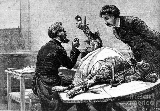 Những chiến thắng vẻ vang của con người trước Mẹ thiên nhiên - Ảnh 4.