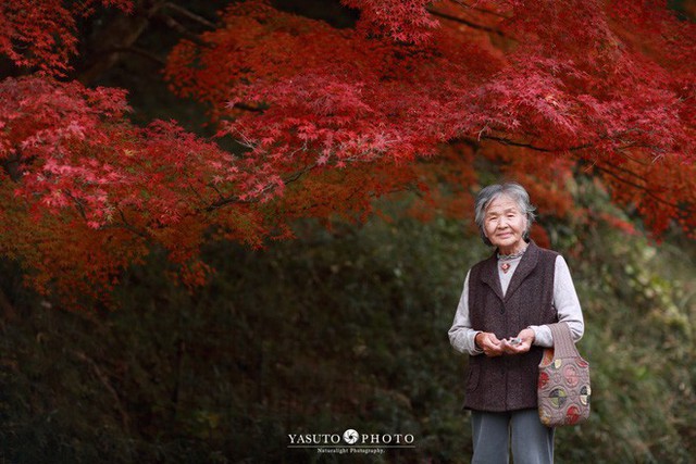  Giữ lời hứa chụp bà và chú chó dưới tầng hoa anh đào, câu chuyện của nhiếp ảnh gia Nhật Bản khiến bao người thổn thức - Ảnh 5.