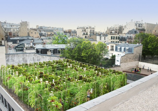 Paris lên kế hoạch dành 1/3 không gian xanh mới cho nông nghiệp đô thị - Ảnh 1.