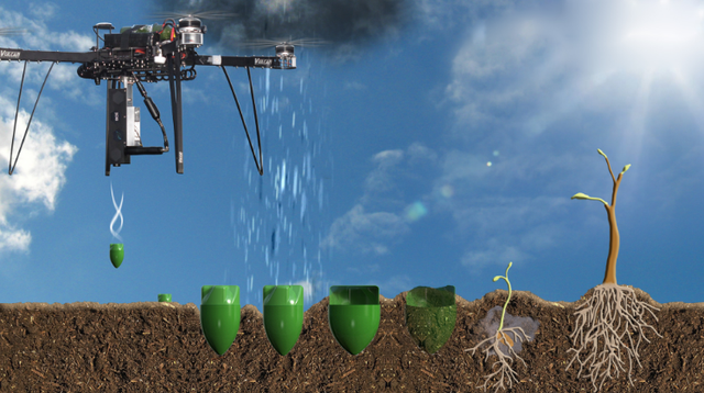 Công nghệ dùng Drone trồng cây, có thể trồng được 100.000 cây chỉ trong 1 ngày - Ảnh 1.