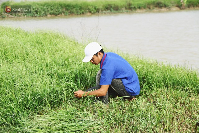 Người mẹ nghèo sinh 14 đứa con ở Hà Nội: Cố gắng tích góp để lỡ nằm xuống còn có cỗ quan tài, chứ chẳng phiền các con - Ảnh 6.