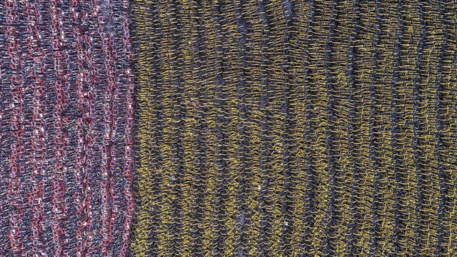 Hãi hùng ngắm nhìn mồ chôn tập thể của hàng triệu chiếc xe đạp tại Trung Quốc - Ảnh 7.