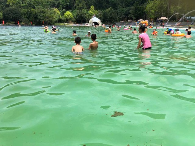 Giám đốc khu du lịch Khoang Xanh - Suối Tiên lên tiếng về hình ảnh rong rêu, xác côn trùng nổi đầy trong bể bơi - Ảnh 4.