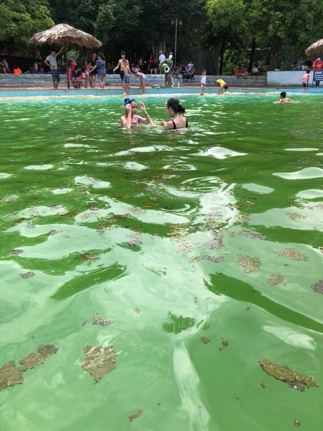 Giám đốc khu du lịch Khoang Xanh - Suối Tiên lên tiếng về hình ảnh rong rêu, xác côn trùng nổi đầy trong bể bơi - Ảnh 5.