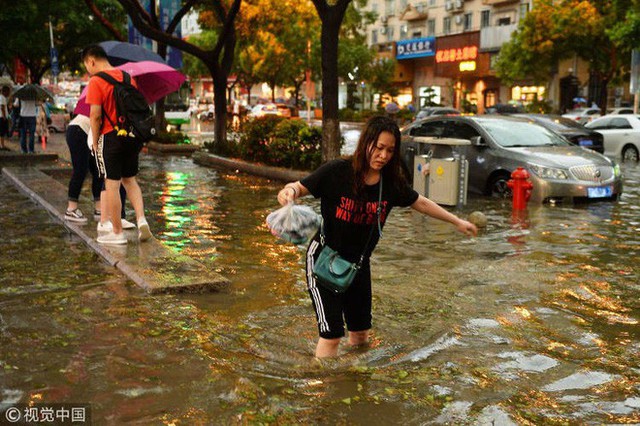 Trung Quốc: Bão lớn khiến hải sản tươi sống trút xuống như mưa trên đường phố - Ảnh 4.