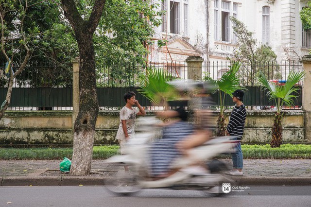 Mùa sấu về trên phố phường Hà Nội: Nhóm thợ đánh giày tranh thủ đổi nghề, kiếm tiền triệu mỗi ngày - Ảnh 9.