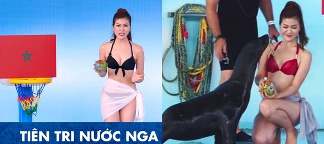 Bị “ném đá”, MC của K+ bỏ bikini chuyển sang mặc đồ lặn kín đáo dẫn chương trình World Cup - Ảnh 1.