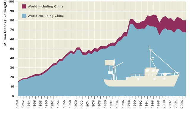 Trung Quốc đang vét sạch tài nguyên biển và thống trị thị trường hải sản bằng cách nào? - Ảnh 2.