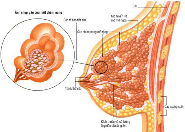 Cảnh báo: Mỗi lần tức giận là 1 trận động đất trong cơ thể, gây ra 20 căn bệnh đáng sợ - Ảnh 1.