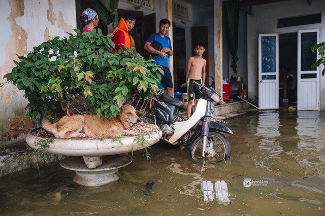 Chùm ảnh: 1 tuần sau lũ lớn, người dân Hà Nội vẫn phải chèo thuyền đi lại giữa biển rác thải nổi lềnh bềnh - Ảnh 11.