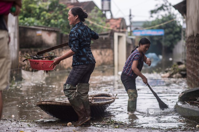 Chùm ảnh: 1 tuần sau lũ lớn, người dân Hà Nội vẫn phải chèo thuyền đi lại giữa biển rác thải nổi lềnh bềnh - Ảnh 20.