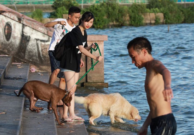 Hồ Tây thành bãi biển tắm tự do giữa Thủ đô - Ảnh 9. Hồ Tây thành bãi biển tắm tự do giữa Thủ đô - Ảnh 9.