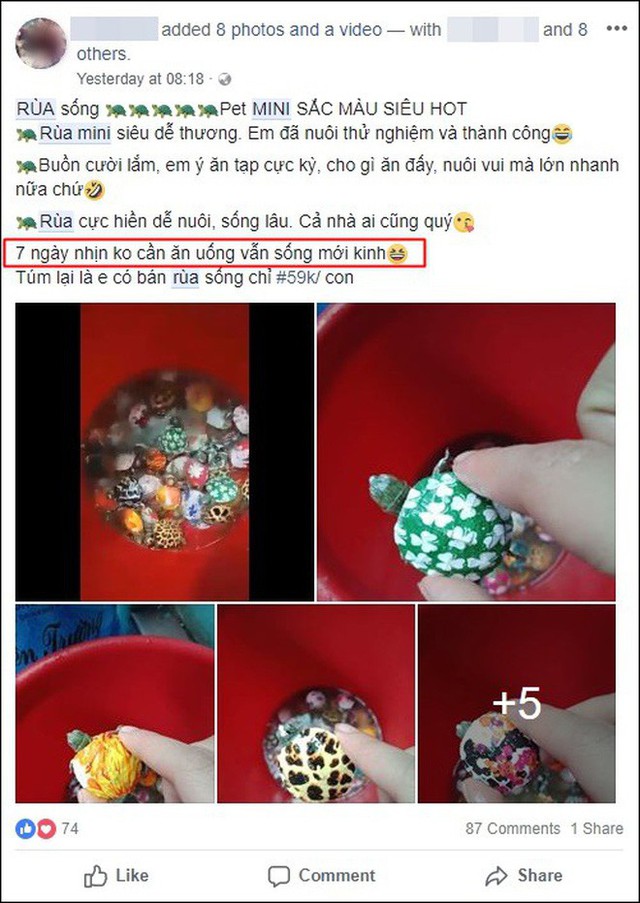 Nở rộ trào lưu bán rùa mini sơn đủ màu trên mạng xã hội, Nhà Rùa học Hà Đình Đức lên tiếng cảnh báo - Ảnh 3.