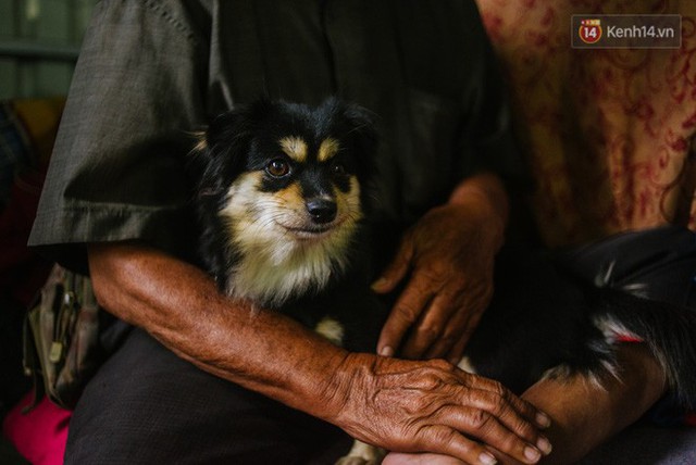 Chuyện anh nhân viên mồ côi cưu mang ông lão ve chai và chú chó nhỏ: Anh xem chú như ba, vì anh cũng chỉ có một mình ở đất Sài Gòn này - Ảnh 1.