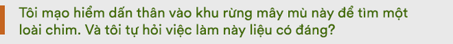 Nước mắt chim Tê Điểu: “Báu vật sống” bị săn lùng vì có chiếc mỏ đắt gấp 3 lần ngà voi - Ảnh 1.