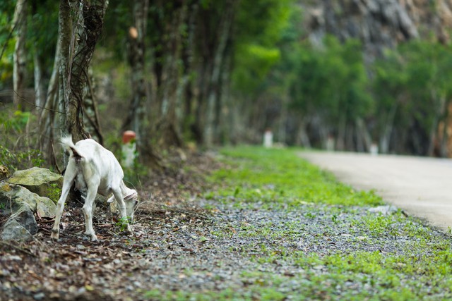 đầu tư giá trị - Ngỡ ngàng cảnh đẹp ở Thung Nham Ninh Bình những ngày chớm thu - photo đầu tư giá trị - 156a3449 15359391163091361611346 - Ngỡ ngàng cảnh đẹp ở Thung Nham Ninh Bình những ngày chớm thu