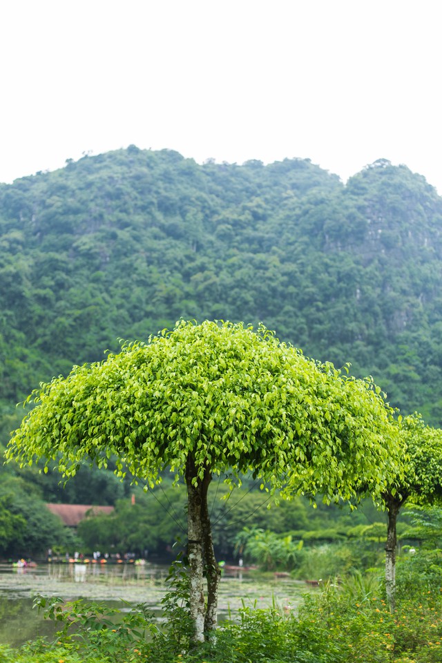 Ngỡ ngàng cảnh đẹp ở Thung Nham Ninh Bình những ngày chớm thu - Ảnh 6.