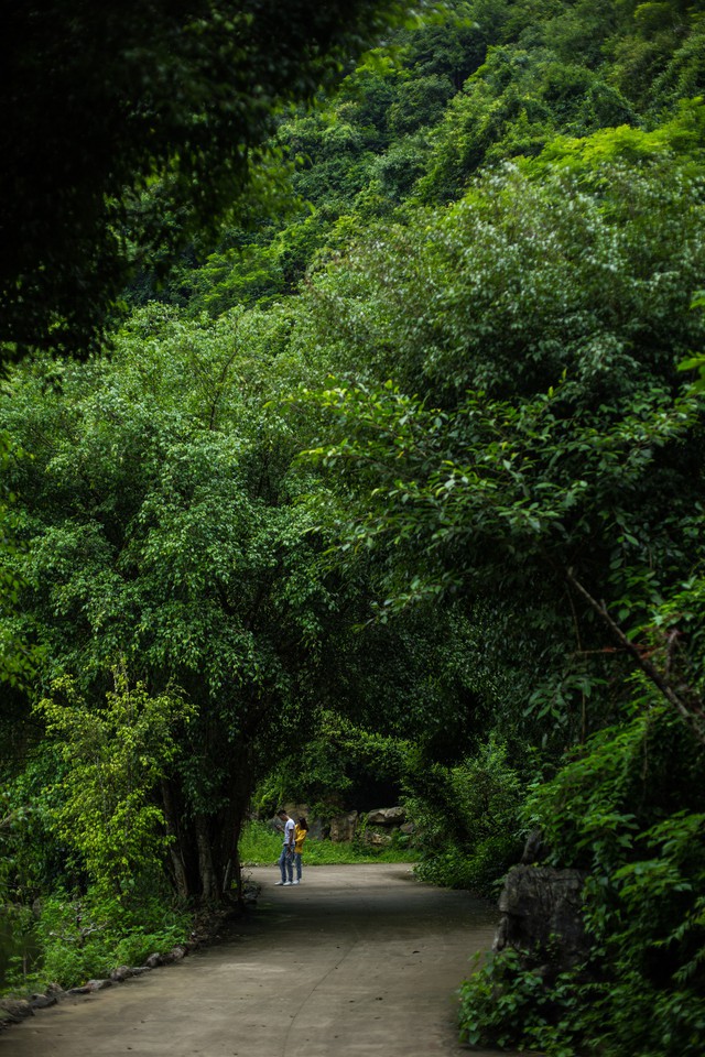 đầu tư giá trị - Ngỡ ngàng cảnh đẹp ở Thung Nham Ninh Bình những ngày chớm thu - photo đầu tư giá trị - 156a3499 15359391163521903459866 - Ngỡ ngàng cảnh đẹp ở Thung Nham Ninh Bình những ngày chớm thu