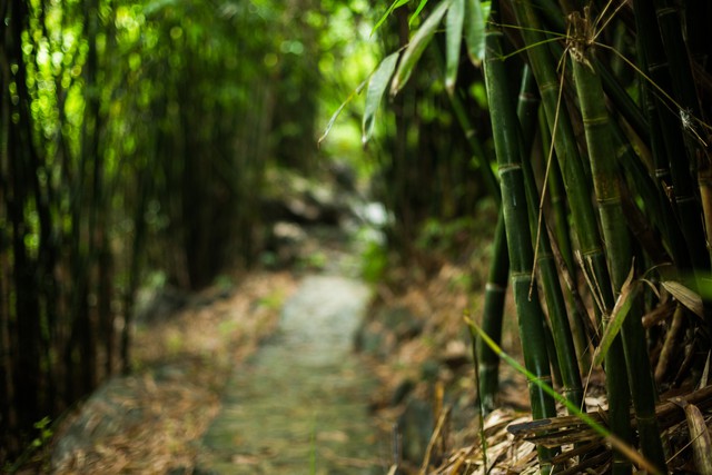 đầu tư giá trị - Ngỡ ngàng cảnh đẹp ở Thung Nham Ninh Bình những ngày chớm thu - photo đầu tư giá trị - 156a3542 15359391164081068377873 - Ngỡ ngàng cảnh đẹp ở Thung Nham Ninh Bình những ngày chớm thu