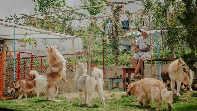 Rời bỏ phố thị, cô gái Sài Gòn lên Đà Lạt cùng bạn trai xây dựng khu vườn giữa núi rừng hoang vu dành cho thú cưng - Ảnh 2.