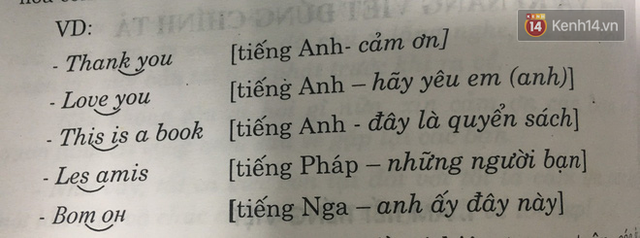 Đọc bài này, bạn sẽ trả lời được câu hỏi: Vì sao Tiếng Việt đơn âm mà lại phải chia thành từng ô vuông làm gì cho phức tạp? - Ảnh 2.