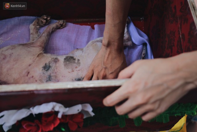 Gặp người đàn ông xây resort chó mèo kỳ lạ nhất Hà Nội: Tổ chức đám tang và thờ cúng cho hàng trăm mộ phần thú cưng xấu số - Ảnh 15.