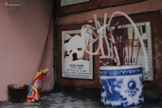 Gặp người đàn ông xây resort chó mèo kỳ lạ nhất Hà Nội: Tổ chức đám tang và thờ cúng cho hàng trăm mộ phần thú cưng xấu số - Ảnh 6.