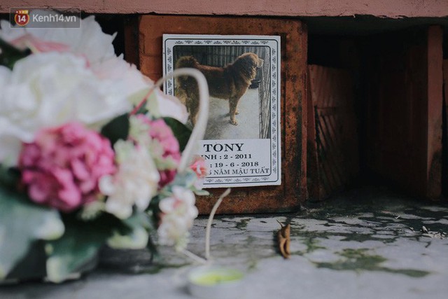 Gặp người đàn ông xây resort chó mèo kỳ lạ nhất Hà Nội: Tổ chức đám tang và thờ cúng cho hàng trăm mộ phần thú cưng xấu số - Ảnh 8.