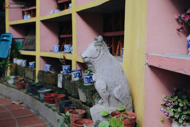 Gặp người đàn ông xây resort chó mèo kỳ lạ nhất Hà Nội: Tổ chức đám tang và thờ cúng cho hàng trăm mộ phần thú cưng xấu số - Ảnh 10.