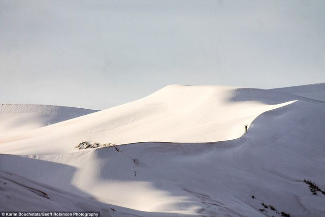 Thế giới lạnh siêu mạnh đến mức sa mạc Sahara nóng bỏng cũng bị tuyết phủ tới 40 cm - Ảnh 2.