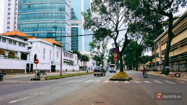 Chùm ảnh: Người Sài Gòn đặt hoa hồng trên gốc những hàng cây xanh bị đốn hạ ở đuờng Tôn Đức Thắng - Ảnh 1.