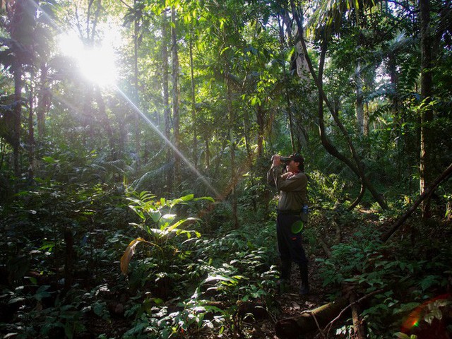 24 bức ảnh cho thấy rừng Amazon từ lá phổi xanh của thế giới đã trở thành chứng tích cho sự tàn phá của con người - Ảnh 24.