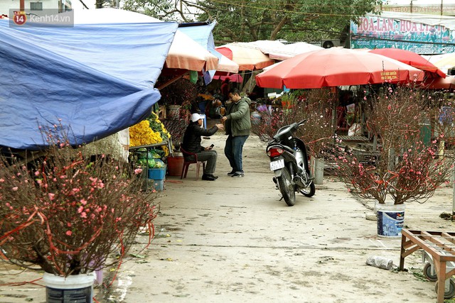 Người dân làng đào Nhật Tân: Từ giờ đến Tết mà rét thế này thì đào không nở hoa kịp mất! - Ảnh 5.