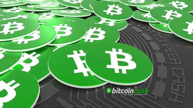 7 đồng tiền ảo đối thủ của Bitcoin trong năm 2018 - Ảnh 8.