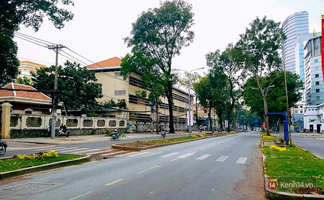 Chùm ảnh: Người Sài Gòn đặt hoa hồng trên gốc những hàng cây xanh bị đốn hạ ở đuờng Tôn Đức Thắng - Ảnh 8.