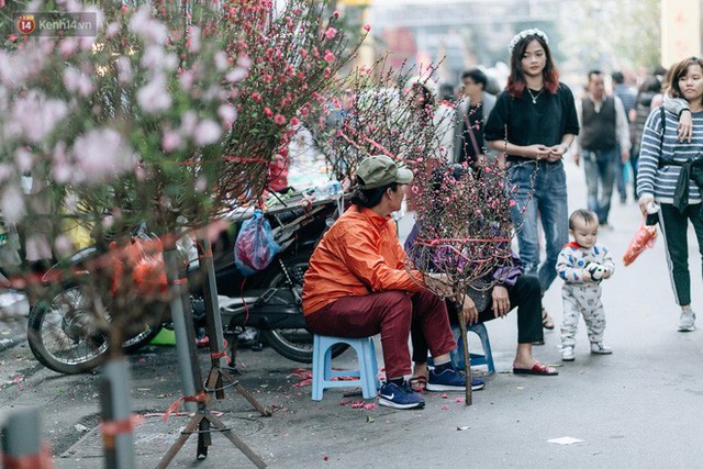 Rộn ràng không khí Tết tại chợ hoa Hàng Lược - phiên chợ truyền thống lâu đời nhất ở Hà Nội - Ảnh 12. Rộn ràng không khí Tết tại chợ hoa Hàng Lược - phiên chợ truyền thống lâu đời nhất ở Hà Nội - Ảnh 12.