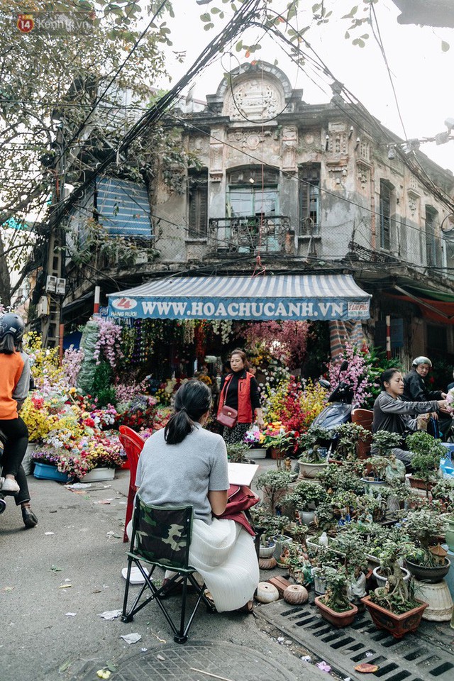 Rộn ràng không khí Tết tại chợ hoa Hàng Lược - phiên chợ truyền thống lâu đời nhất ở Hà Nội - Ảnh 13. Rộn ràng không khí Tết tại chợ hoa Hàng Lược - phiên chợ truyền thống lâu đời nhất ở Hà Nội - Ảnh 13.
