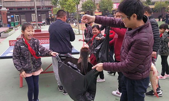 Các trường học Trung Quốc thi nhau tặng thịt lợn, chân giò cho học sinh xuất sắc để ăn Tết Kỷ Hợi - Ảnh 2.