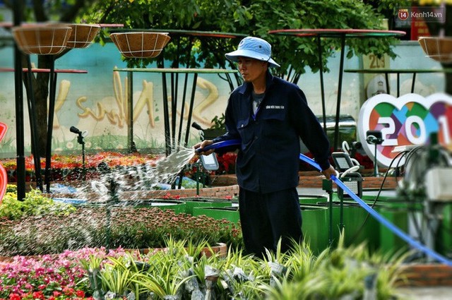 Cận cảnh đường hoa Nguyễn Huệ ở Sài Gòn trước giờ khai mạc đón Tết Kỷ Hợi 2019 - Ảnh 11.