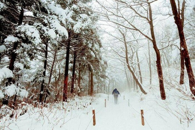 Top 10 địa điểm tham quan tại Hàn Quốc mùa đông 2019 - Ảnh 6.