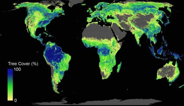 Lần đầu tiên xuất hiện báo cáo khoa học hướng dẫn cần bao nhiêu đất, trồng bao nhiêu cây thì đủ để cứu lấy Trái Đất - Ảnh 1.