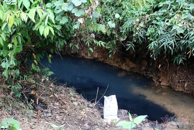 Triệu tập 2 người liên quan đến vụ đổ dầu gây ô nhiễm nước sông Đà - Ảnh 1.