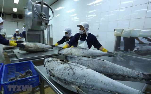 Việt Nam là ngôi sao sáng nhất về tăng trưởng kinh tế nhanh và ổn định Việt Nam là ngôi sao sáng nhất về tăng trưởng kinh tế nhanh và ổn định