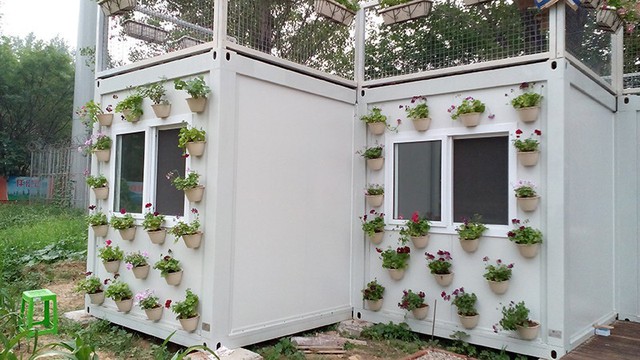 Người đàn ông 57 tuổi vừa có sự nghiệp vừa tạo lập vườn rau xanh ở biệt thự container tặng vợ ở giữa Thủ đô - Ảnh 11.