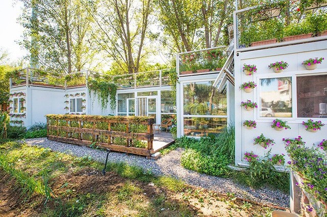 Người đàn ông 57 tuổi vừa có sự nghiệp vừa tạo lập vườn rau xanh ở biệt thự container tặng vợ ở giữa Thủ đô - Ảnh 19.