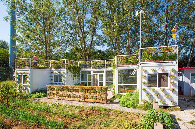 Người đàn ông 57 tuổi vừa có sự nghiệp vừa tạo lập vườn rau xanh ở biệt thự container tặng vợ ở giữa Thủ đô - Ảnh 20.